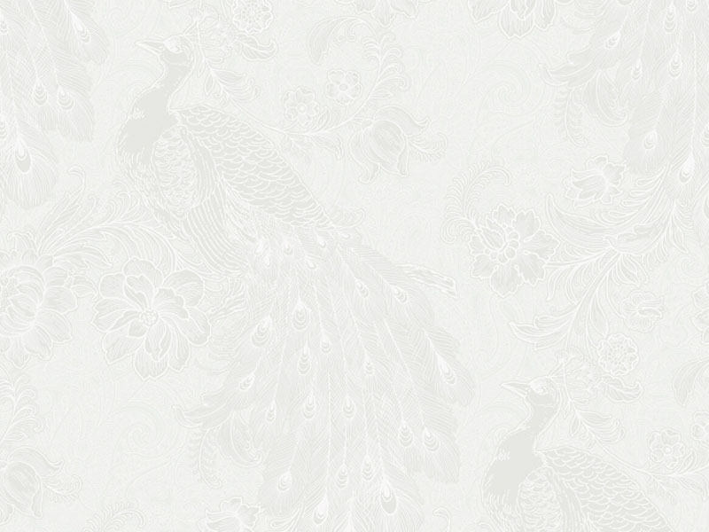 Kashmir