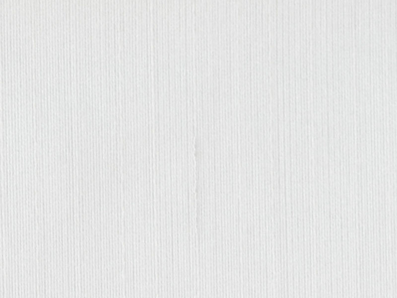 Viscose Rayon RH6048