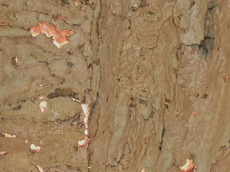 Cork On Metallic RH6025