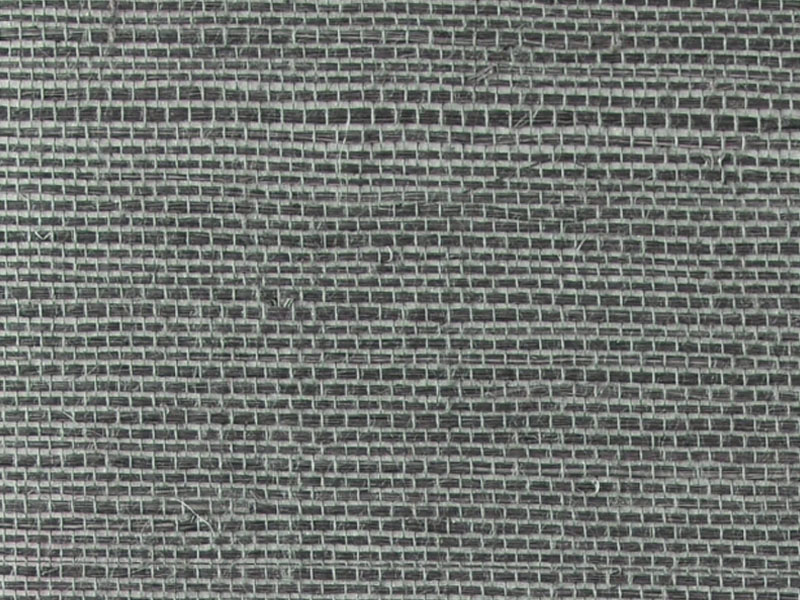 Sisal with Metallic RH6086