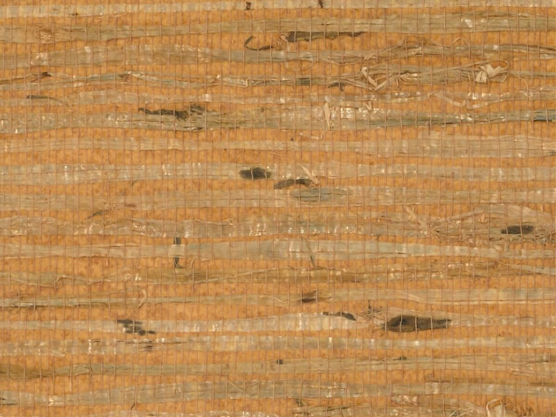 Arrowroot RH6019