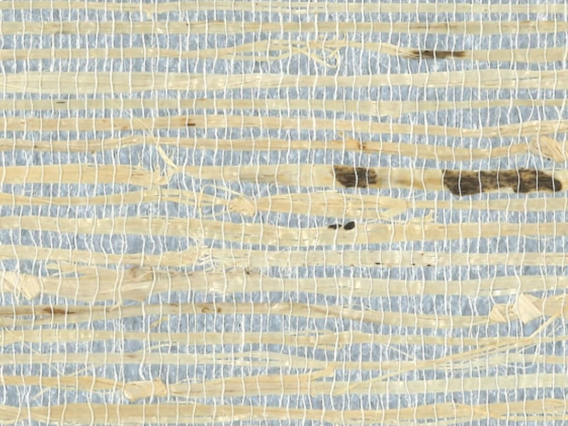 Arrowroot On Metallic RH6046