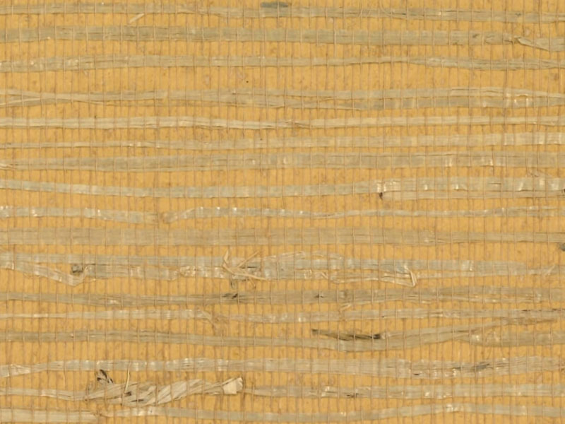 Arrowroot RH6023