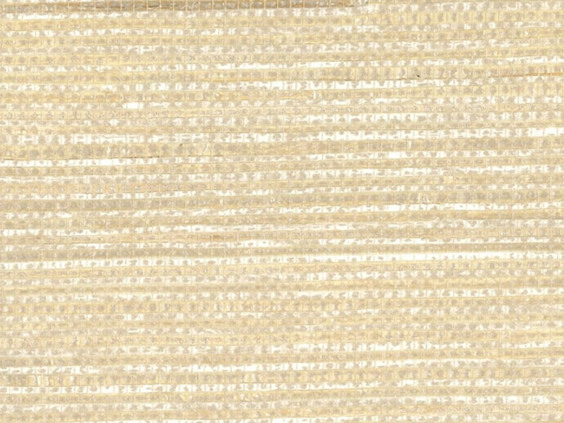 Paper and Raffia RH6051