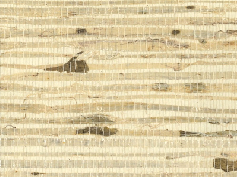 Arrowroot RH6034