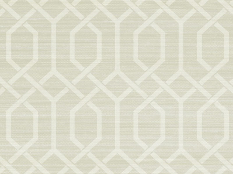Trellis Grasscloth